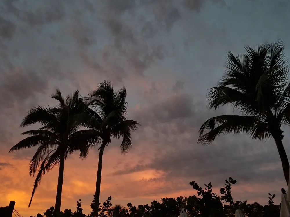 Trusted garden landscaping for beautiful yards across Vero Beach, FL - Out Of The Woods Lawn Care