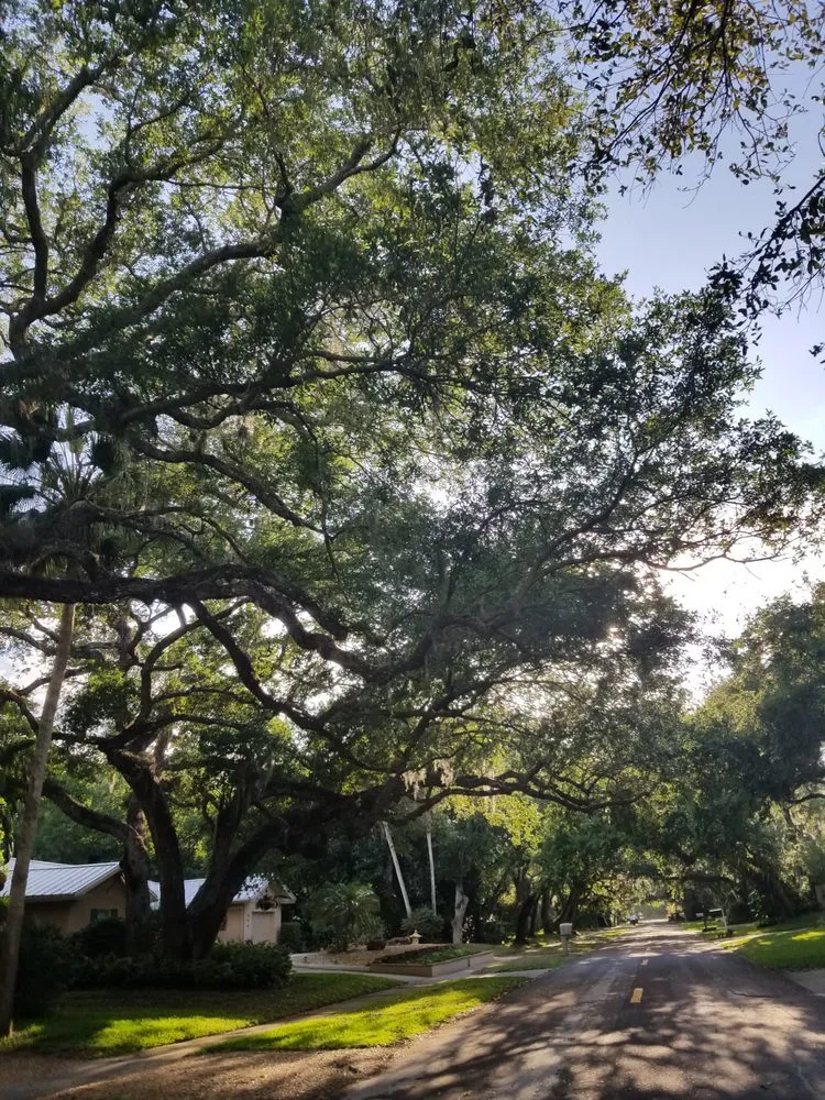 Affordable lawn care service experts serving Vero Beach, FL - Out Of The Woods Lawn Care