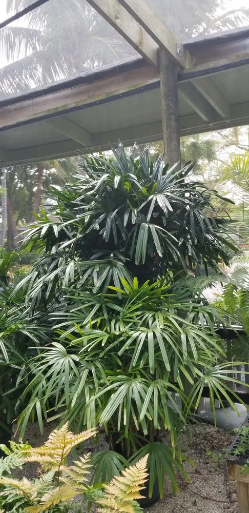 Reliable lawn care service for year-round maintenance in Vero Beach, FL by Out Of The Woods Lawn Care