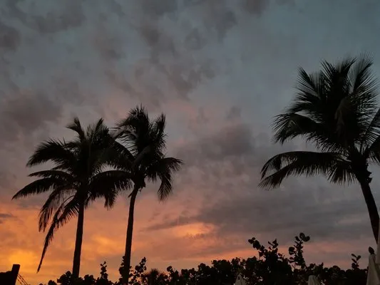 Out Of The Woods Lawn Care Logo