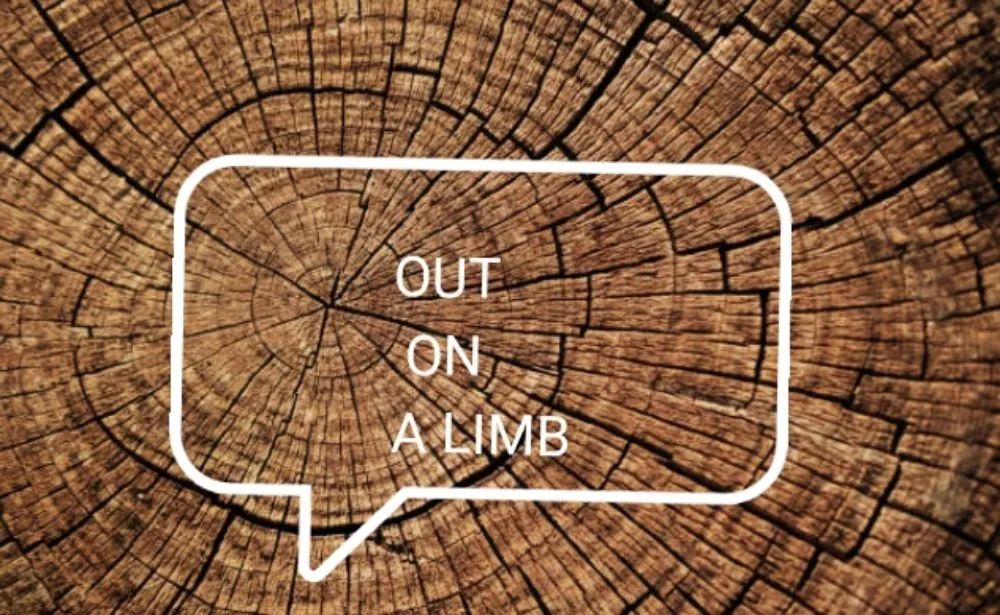 Affordable yard maintenance for residential properties in Fruita, CO by Out On a Limb