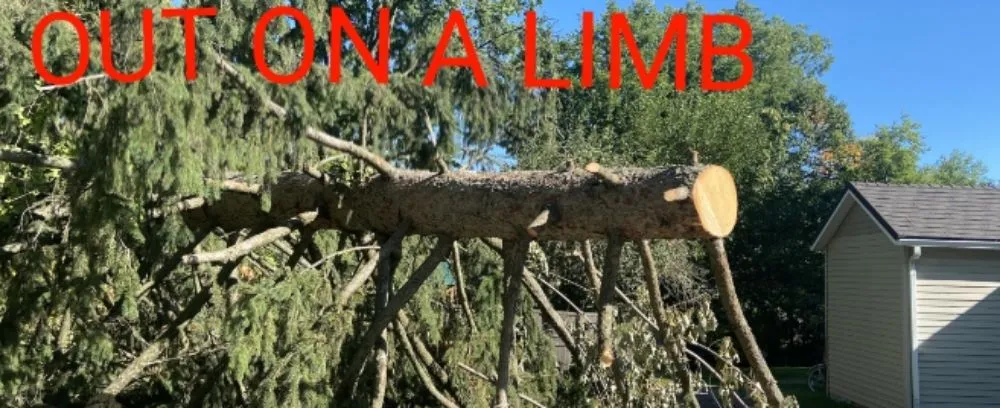 Professional landscape installation for residential properties in Fruita, CO by Out On a Limb