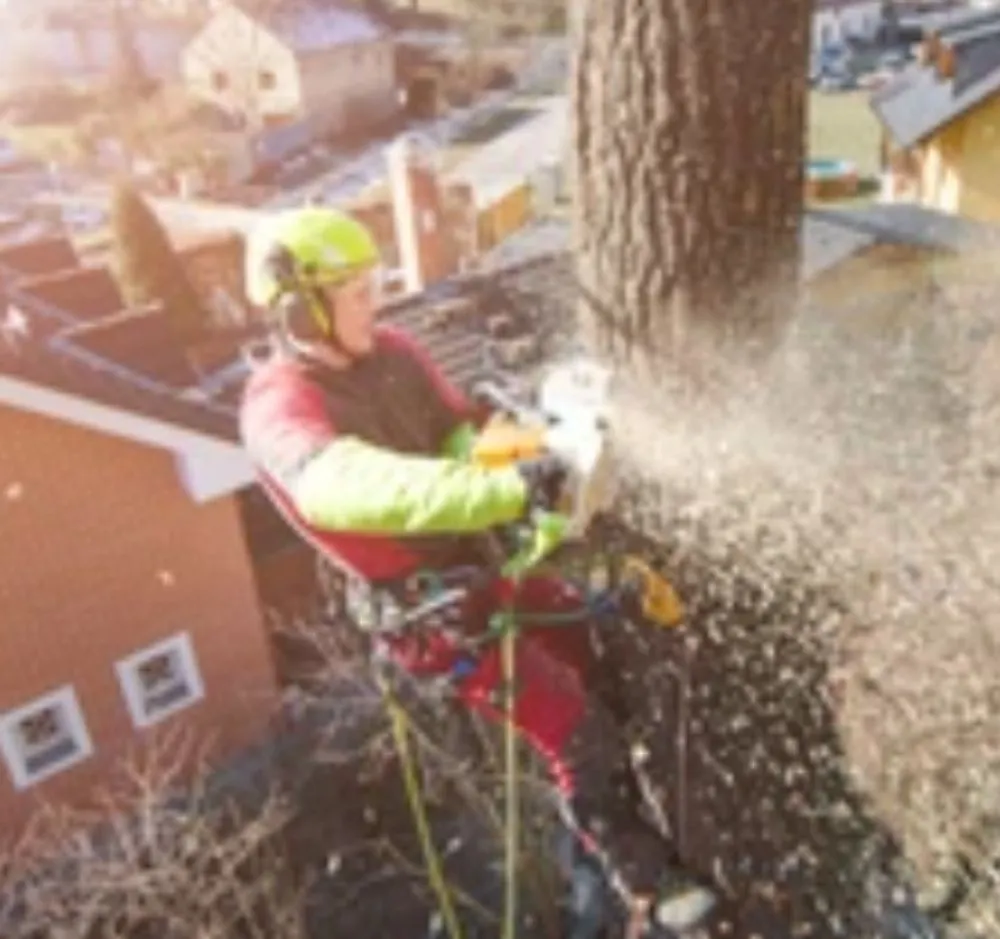Expert outdoor landscaping in Fruita, CO - Out On a Limb