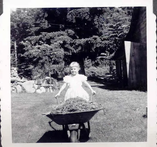 Reliable yard cleanup service in Port Angeles, WA - Out On a Limb Landscape Services