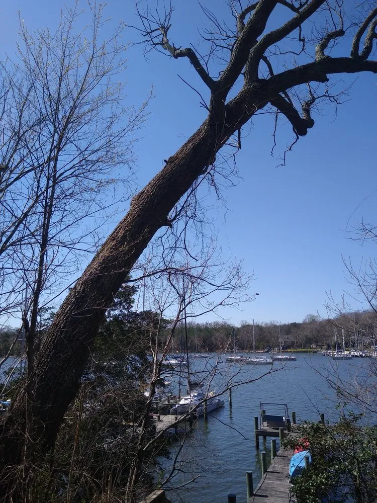 Expert garden landscaping in Pasadena, MD - Out On A Limb Tree and Landscape