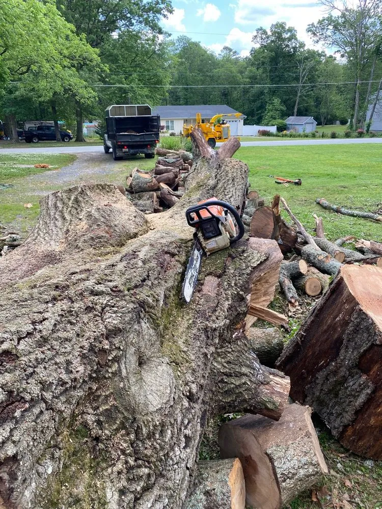 Custom residential landscaping experts serving Pasadena, MD - Out On A Limb Tree and Landscape