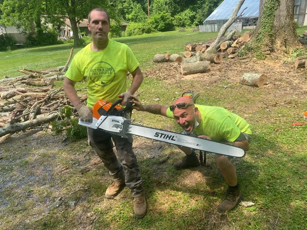 Top-rated yard maintenance in Pasadena, MD - Out On A Limb Tree and Landscape