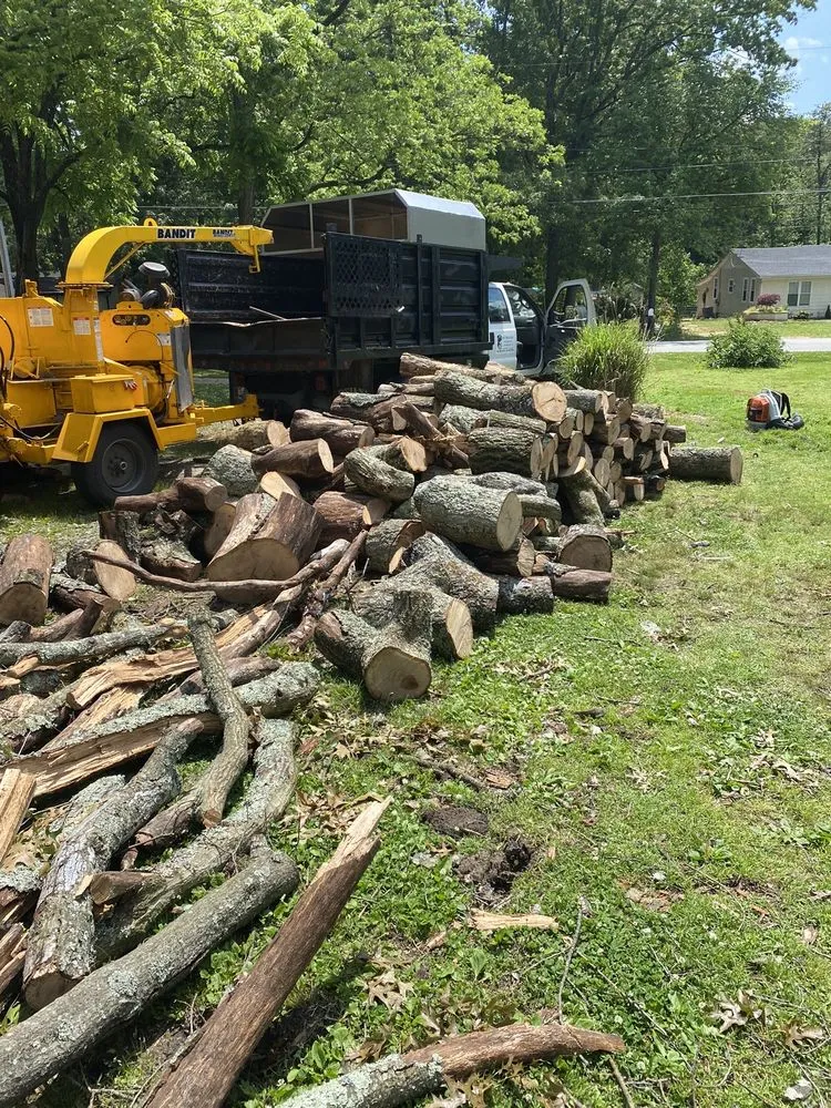 Professional garden landscaping in Pasadena, MD - Out On A Limb Tree and Landscape