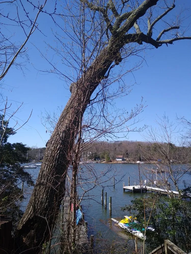 Affordable landscaping services in Pasadena, MD - Out On A Limb Tree and Landscape