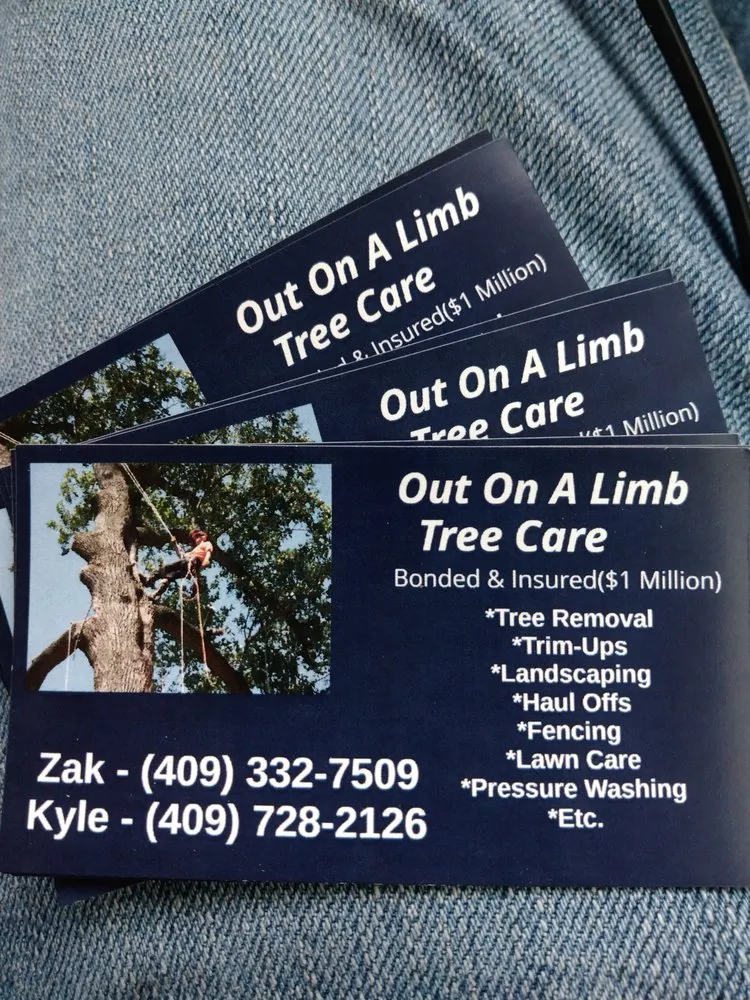 Top-rated landscape design for homes in Nederland, TX by Out On A Limb Tree Care