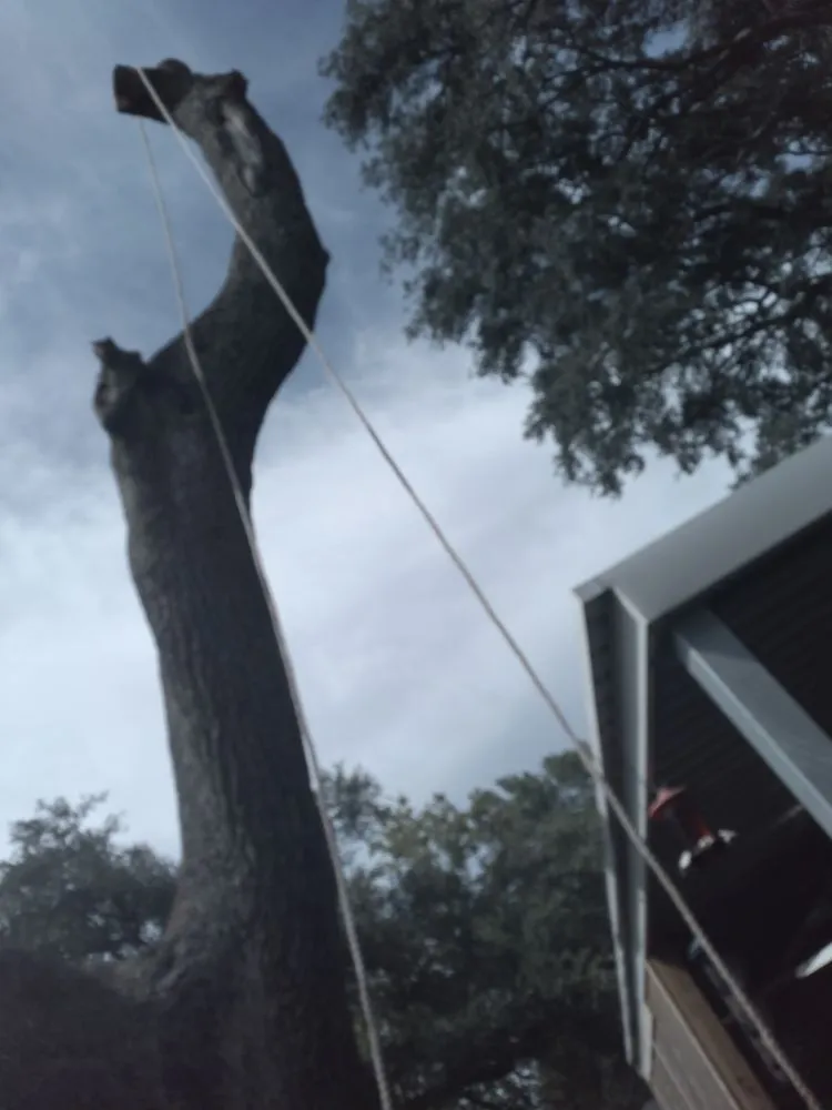 Custom yard maintenance for outdoor upgrades across Nederland, TX - Out On A Limb Tree Care