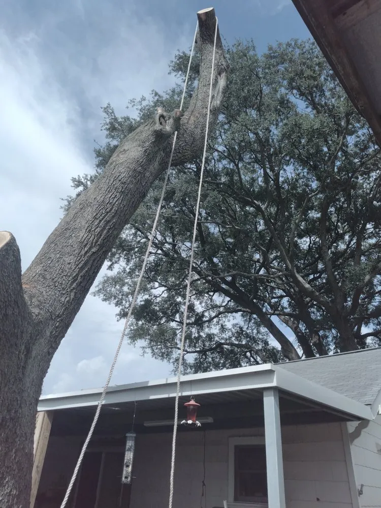 Custom lawn mowing service experts serving Nederland, TX - Out On A Limb Tree Care