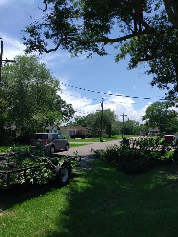 Professional lawn care service in Nederland, TX by Out On A Limb Tree Care
