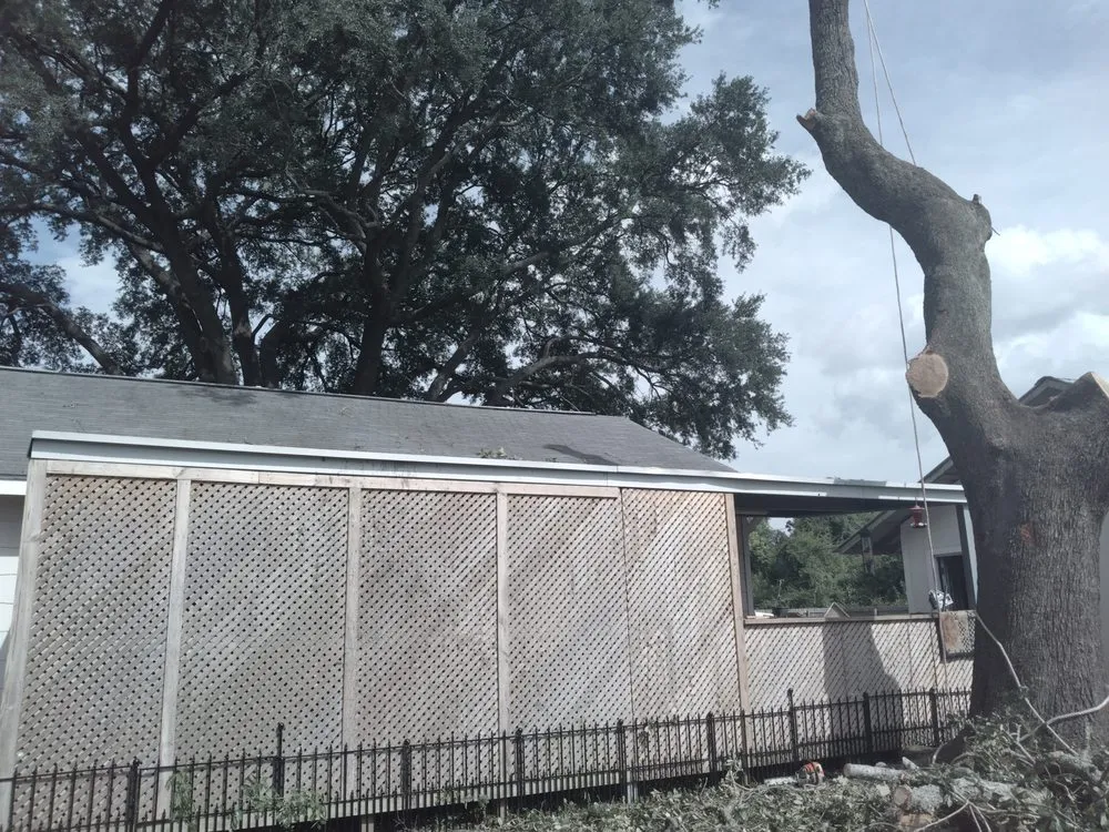 Custom landscape design for residential properties in Nederland, TX by Out On A Limb Tree Care