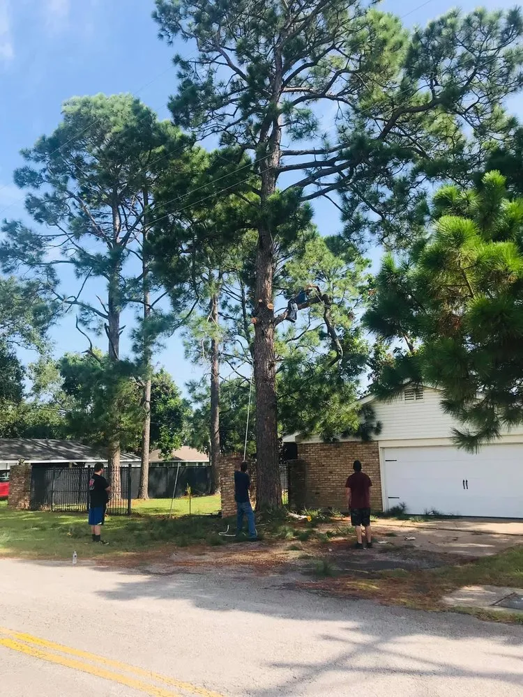 Custom yard cleanup service in Nederland, TX by Out On A Limb Tree Care