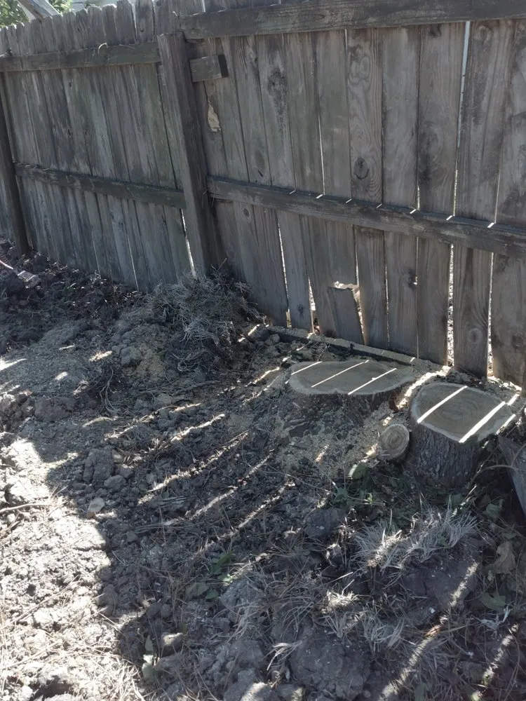 Trusted landscape installation experts serving Nederland, TX - Out On A Limb Tree Care