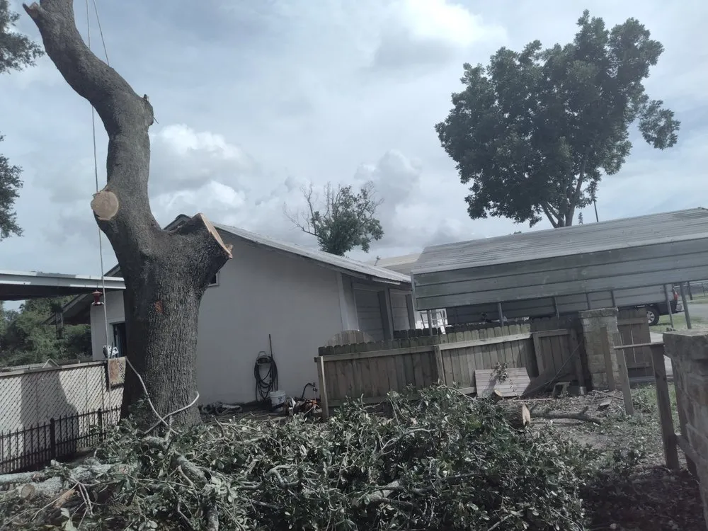 Local yard cleanup service experts serving Nederland, TX - Out On A Limb Tree Care