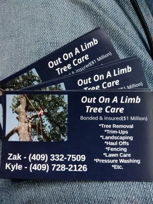 Out On A Limb Tree Care