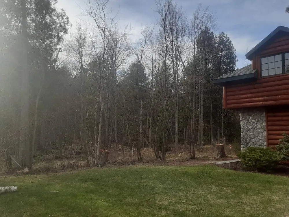 Trusted lawn mowing service in Monroe, MI - Out On A Limb Tree Service