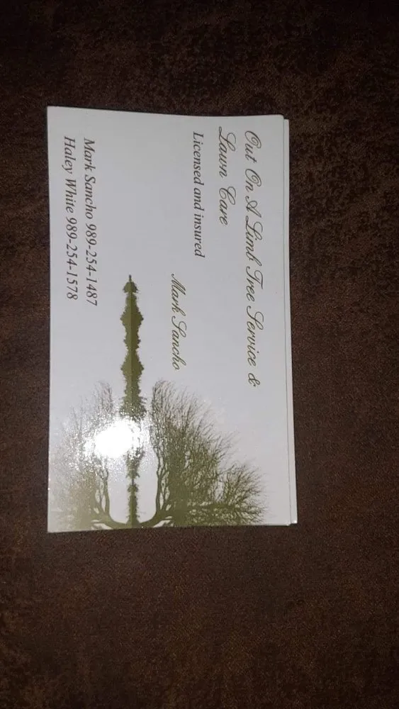 Expert landscape design for year-round maintenance across Monroe, MI - Out On A Limb Tree Service