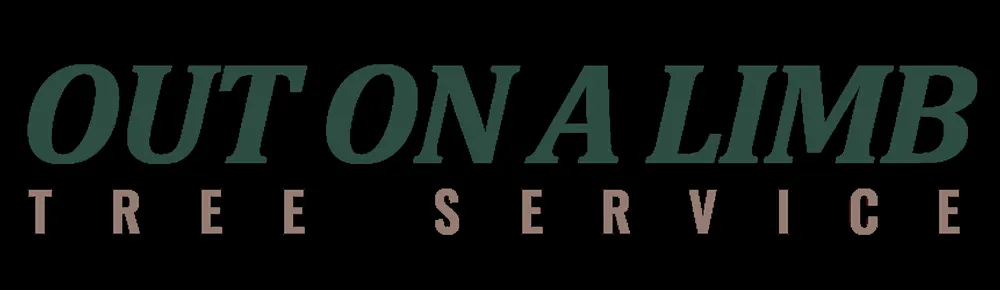 Trusted landscaping services in Phenix City, AL - Out On A Limb Tree Service