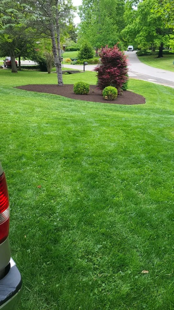 Reliable lawn care service in Lexington-Fayette, KY by Out Serv Landscaping and More