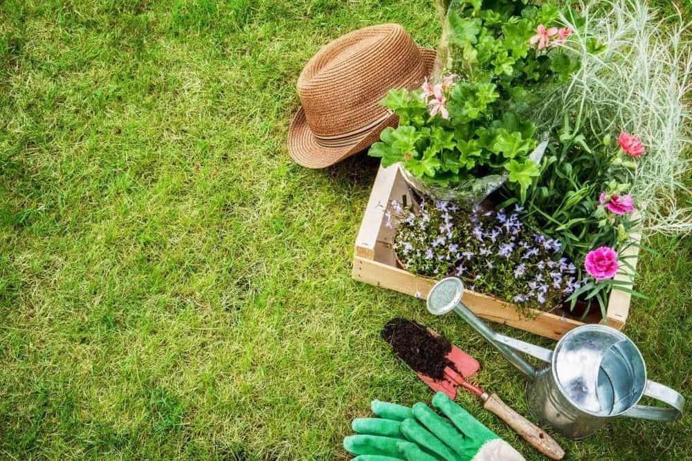 Custom yard maintenance experts serving Lexington-Fayette, KY - Out Serv Landscaping and More
