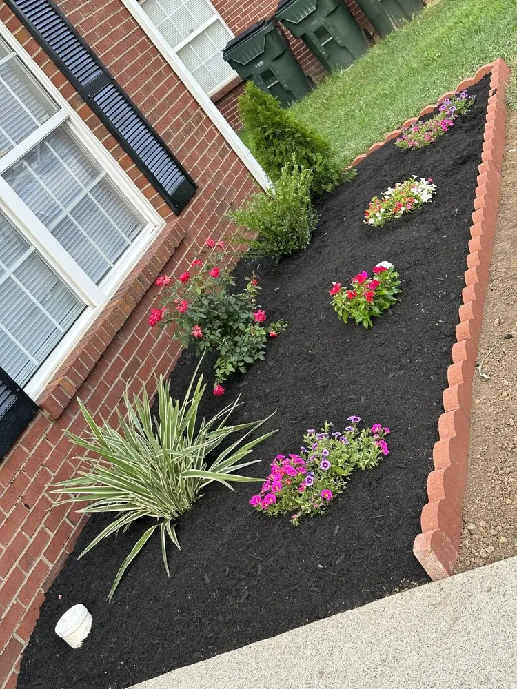 Affordable landscape installation near you in Lexington-Fayette, KY by Out Serv Landscaping and More