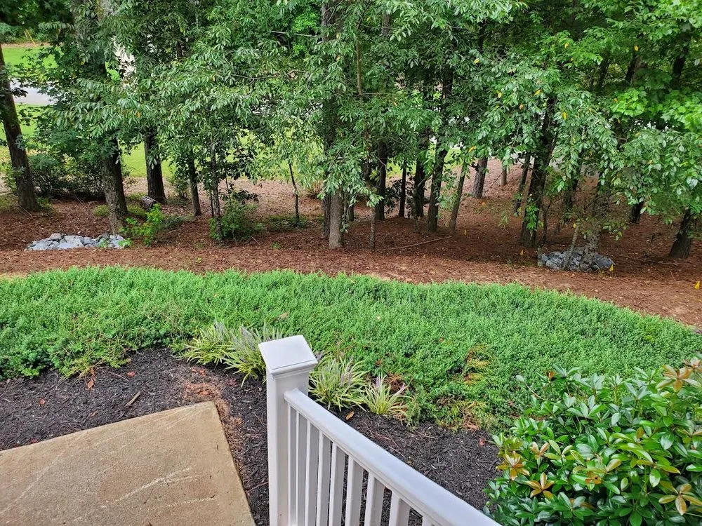 Reliable landscape installation in Dawsonville, GA by Out The Mud Erosion And Land Development