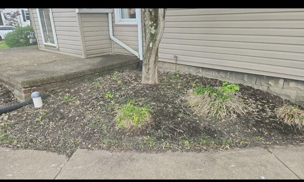 Trusted residential landscaping for homes in Charleroi, PA by Out The Mudd Lawncare and Landscaping