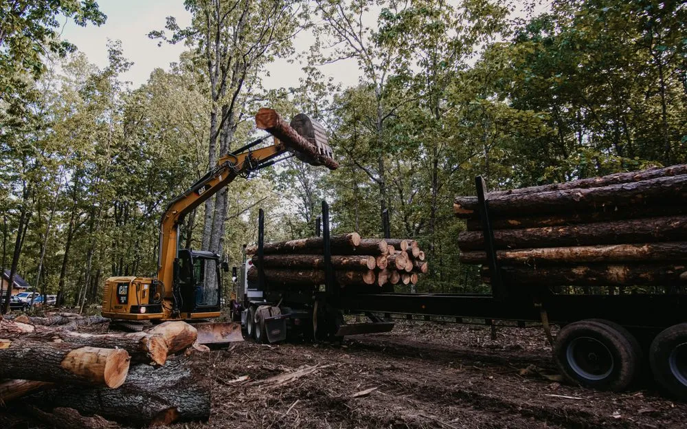 Trusted garden landscaping experts serving Carrollton, GA - Outback Forestry Mulching And Landclearing