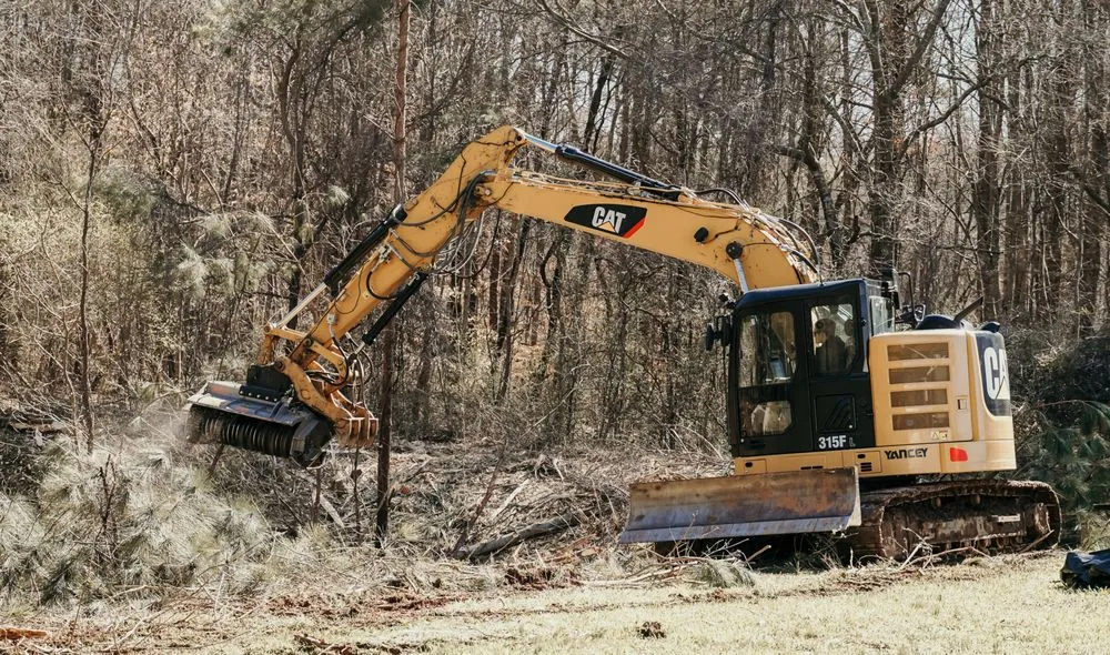 Affordable landscape installation in Carrollton, GA - Outback Forestry Mulching And Landclearing