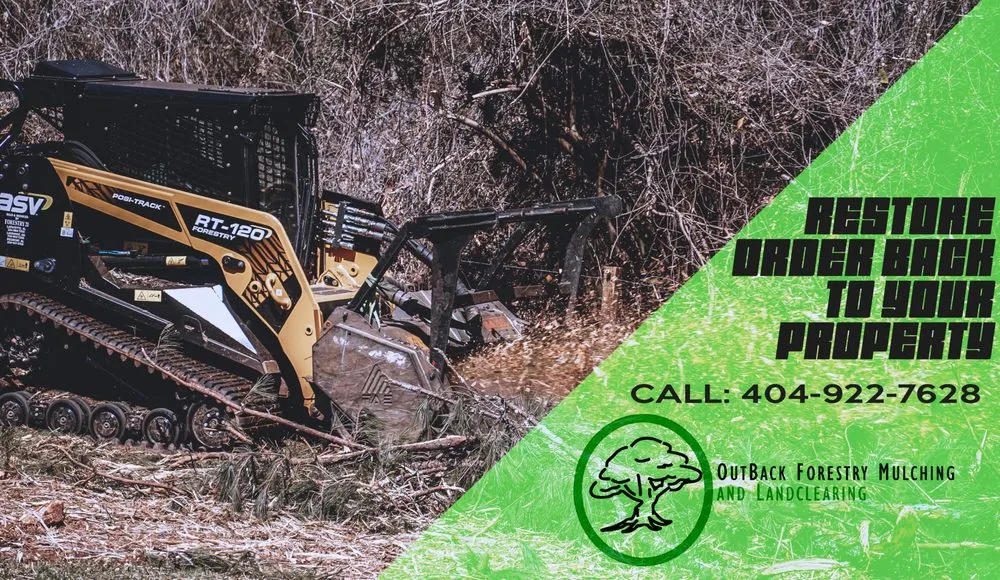 Trusted landscaping services for outdoor upgrades across Carrollton, GA - Outback Forestry Mulching And Landclearing