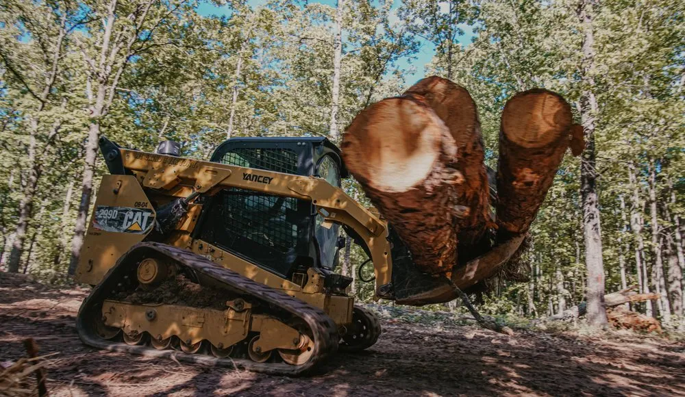 Local yard cleanup service for outdoor upgrades in Carrollton, GA by Outback Forestry Mulching And Landclearing