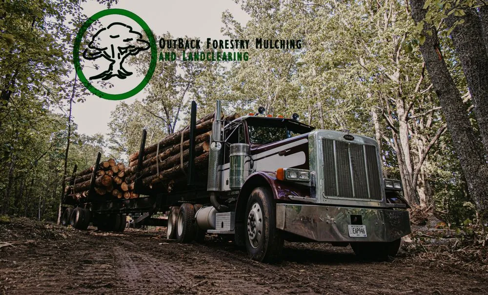 Reliable residential landscaping experts serving Carrollton, GA - Outback Forestry Mulching And Landclearing