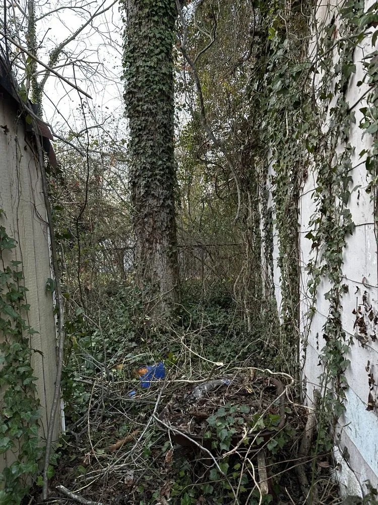 Professional landscaping services near you across Franklin, VA - Outback landscaping