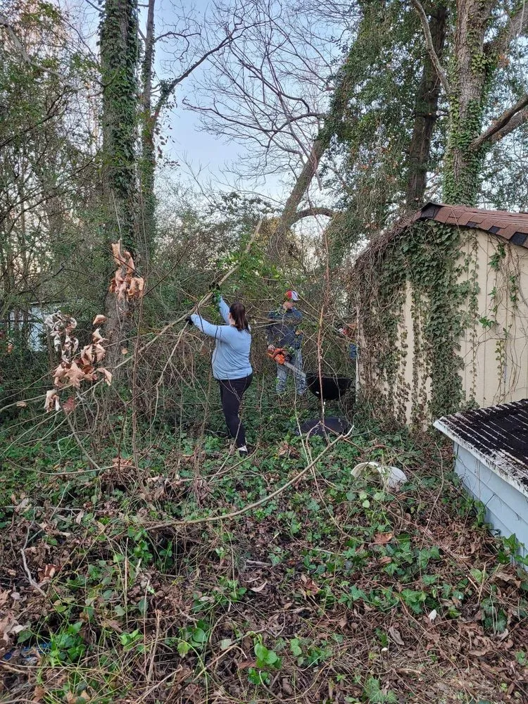 Affordable landscape design in Franklin, VA by Outback landscaping