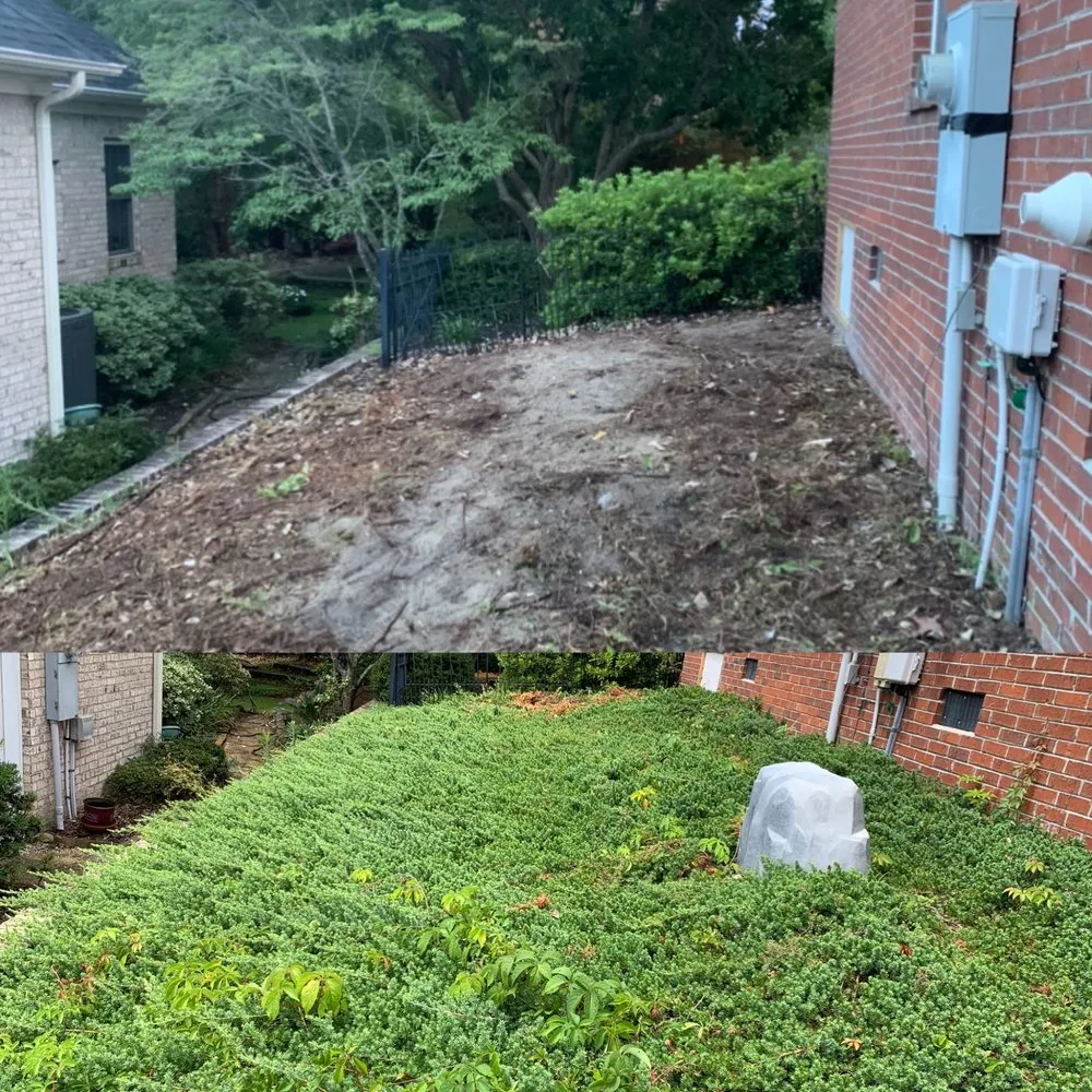 Trusted lawn care service in Wilmington, NC by Outback Landscaping