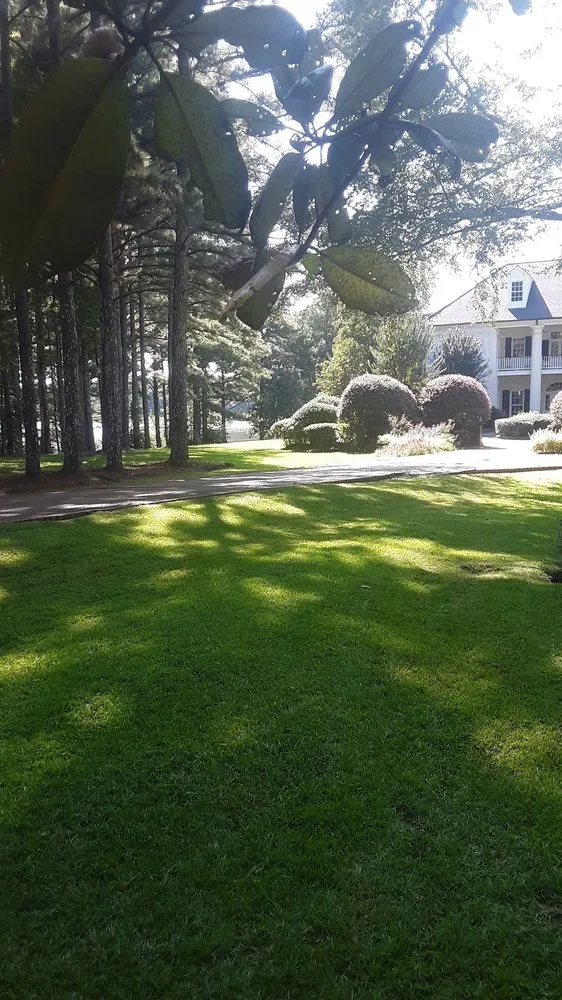 Trusted landscaping services for residential properties across Clinton, MS - Outback Sheds Decks and Landscaping