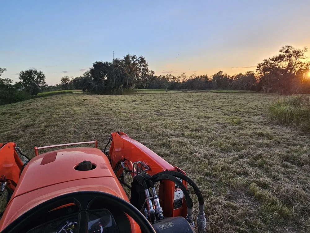 Reliable landscape design for year-round maintenance in Lithia, FL by Outdoor Accommodations