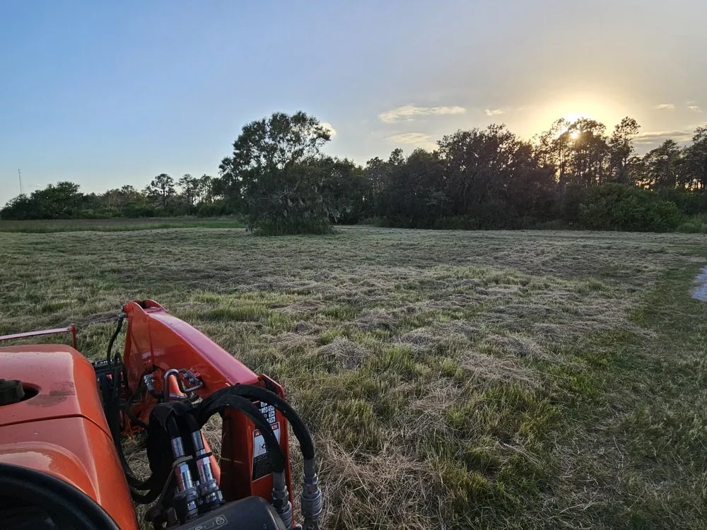 Trusted lawn care service in Lithia, FL - Outdoor Accommodations