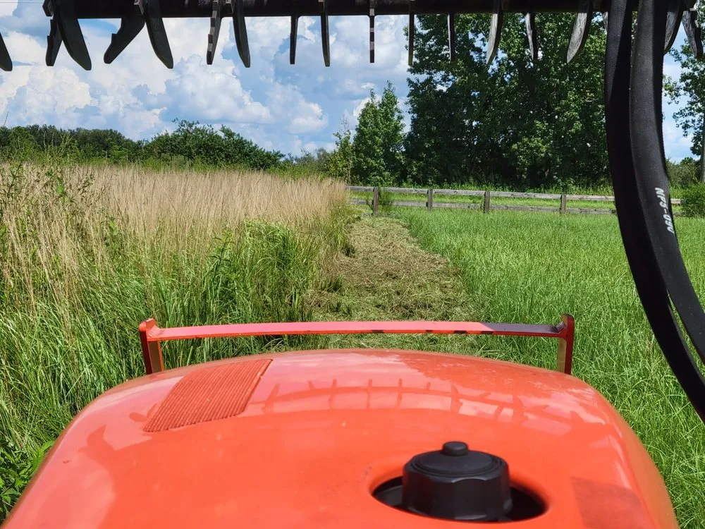 Professional lawn mowing service for homes across Lithia, FL - Outdoor Accommodations