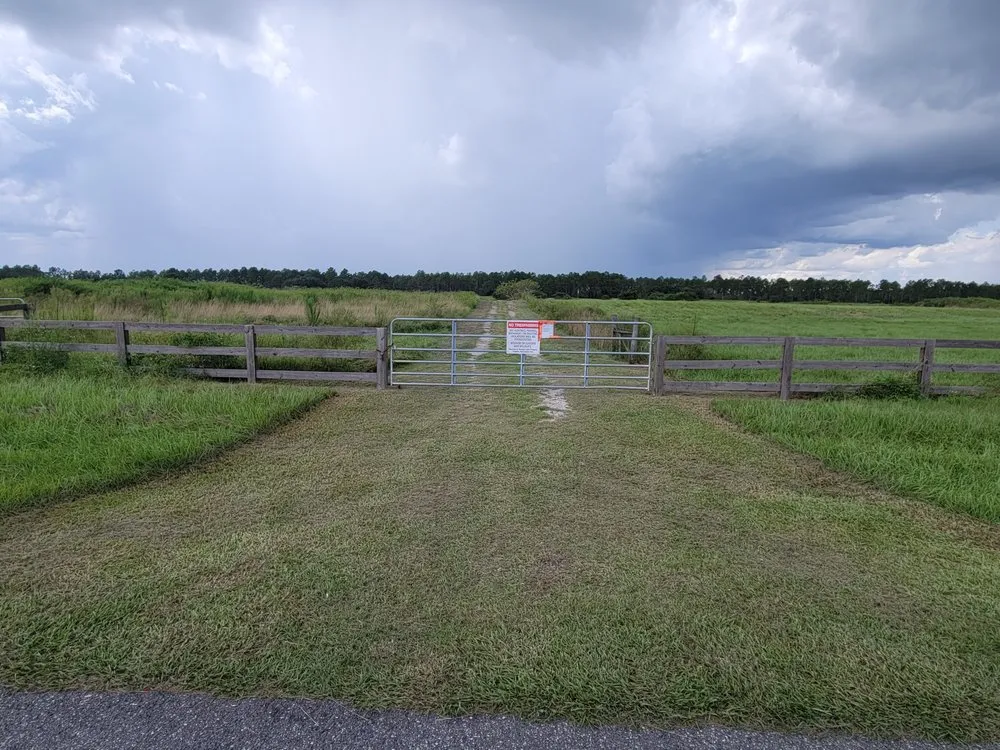 Reliable garden landscaping for residential properties across Lithia, FL - Outdoor Accommodations