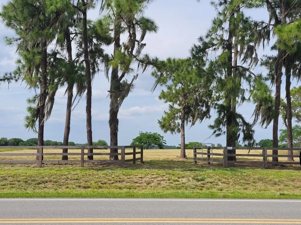 Reliable residential landscaping near you in Lithia, FL by Outdoor Accommodations