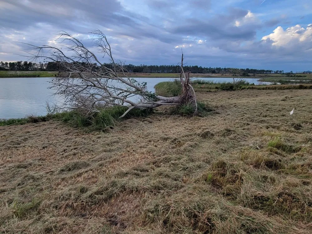 Local landscaping services experts serving Lithia, FL - Outdoor Accommodations