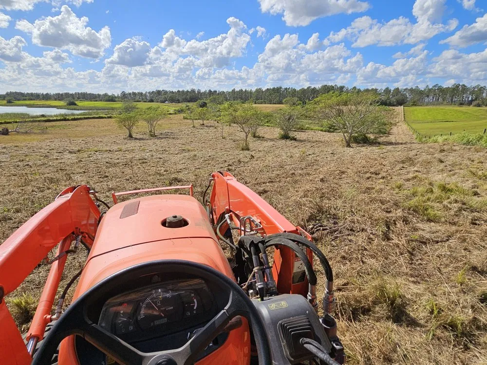 Professional yard maintenance for residential properties across Lithia, FL - Outdoor Accommodations