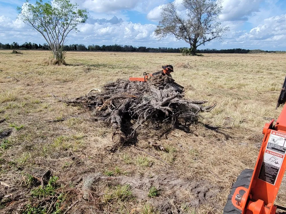 Trusted outdoor landscaping with custom design in Lithia, FL by Outdoor Accommodations