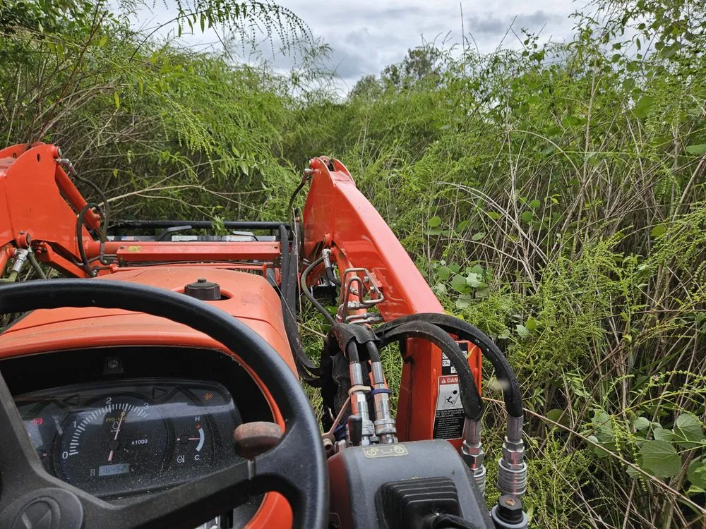 Trusted yard maintenance for homes in Lithia, FL by Outdoor Accommodations