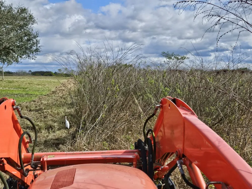 Affordable lawn care service for beautiful yards in Lithia, FL by Outdoor Accommodations