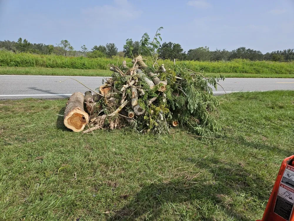 Trusted landscape installation for residential properties in Lithia, FL by Outdoor Accommodations